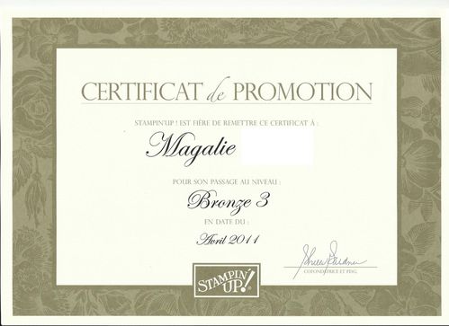 Promotion-Bronze-3-copie-1.jpg