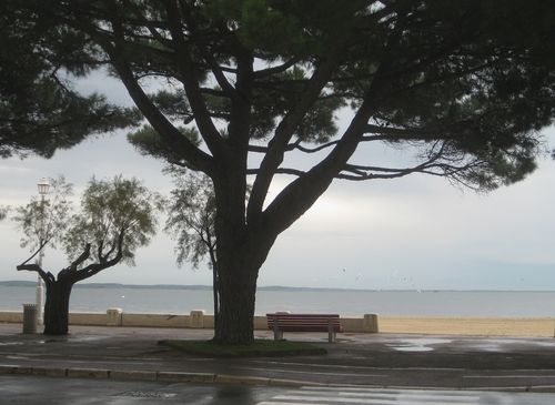 Arcachon4