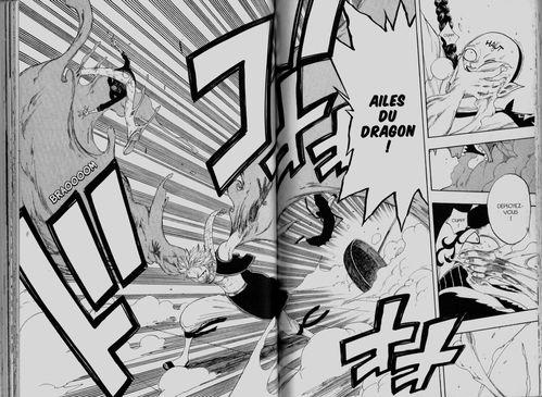 ailes-du-dragon.jpg