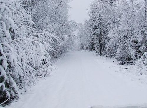 snow