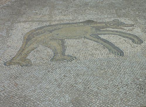 Bulla Regia (14)