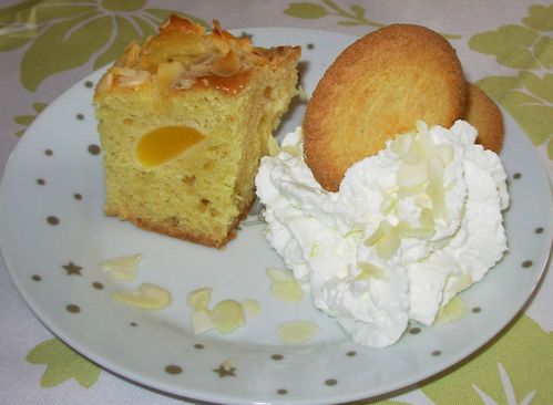 Moelleux amandes-abricots4