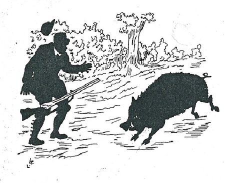 CHASSEUR SANGLIER