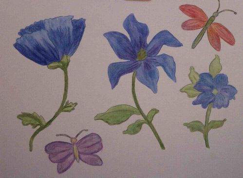 fleurs-bleues-copie-1.jpg
