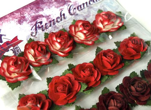 detail 2 mini roses rouge