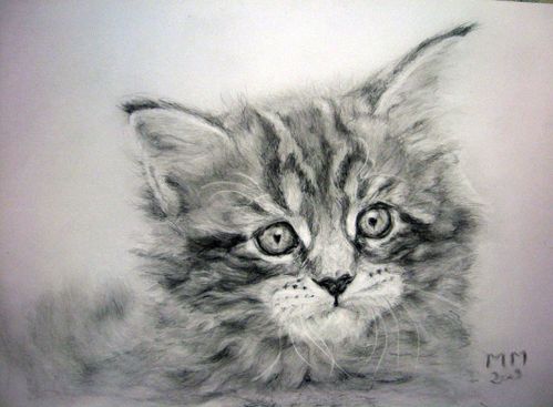 Michele.Tete-de-chat.jpg.jpg