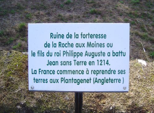 Savennières-joly-chateau-roche-aux-moines-grappe-allée-cyprès-panneau