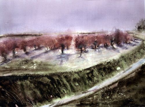 Vigne-rouge-43-X-58.JPG
