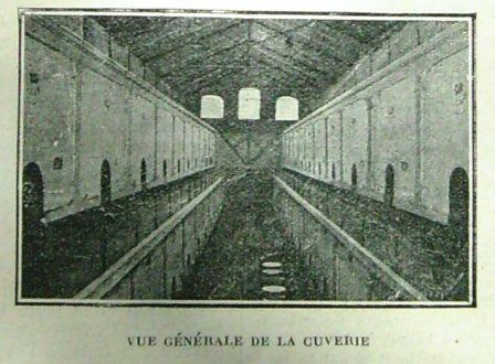 S7305770---Copie---Copie---Copie---Copie---Copie---Copie.jpg