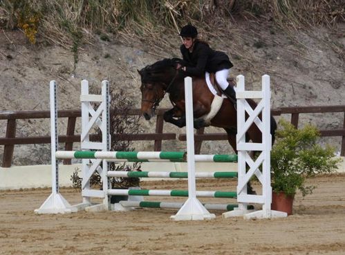 Mariano (étalon) au concours national à Biarritz