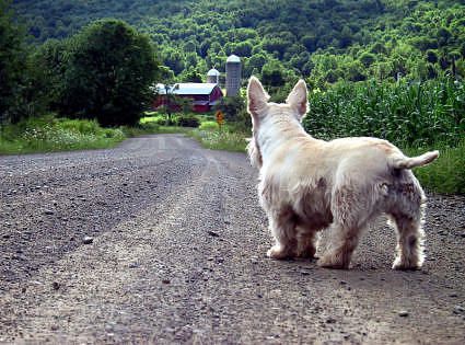 scott-blanc-sur-rte-photo.jpg