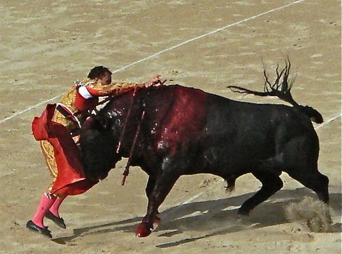 Nimes-11-juin-2011_2.jpg