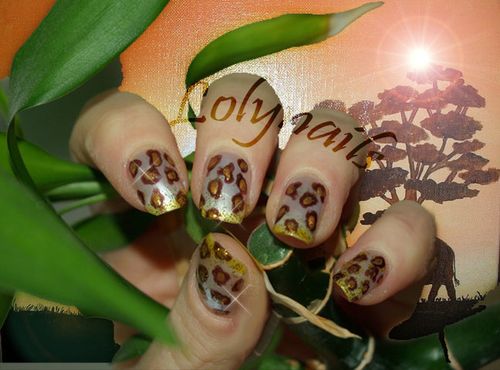 savane copie