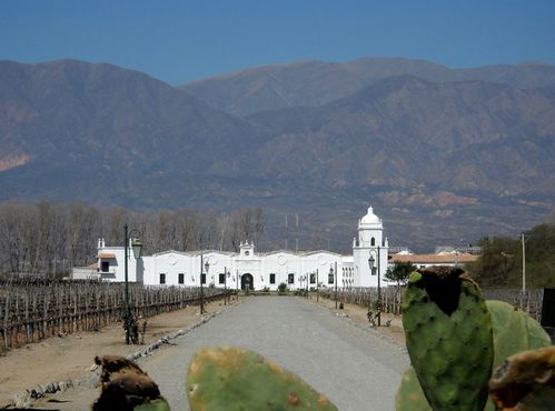 bodega-cafayate.jpg