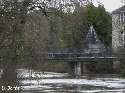 Rivière Janvier10