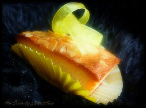 Picnik financier jaune