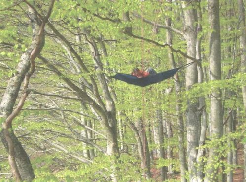 LE-HAMAC-DANS-LES-ARBRES-copie-1.jpeg