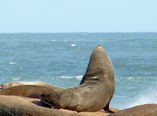 P1030998