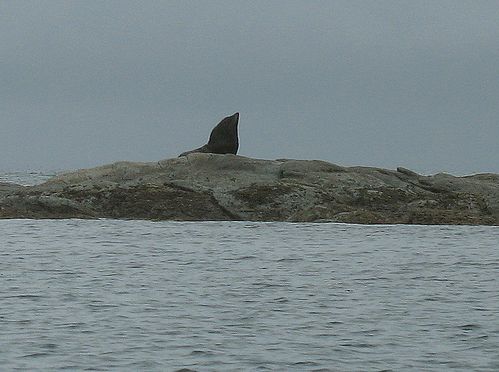 kaikoura6.jpg