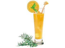 Cocktail.jpg
