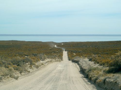P1040971