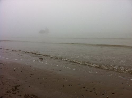 Brume plage 3 11jan14