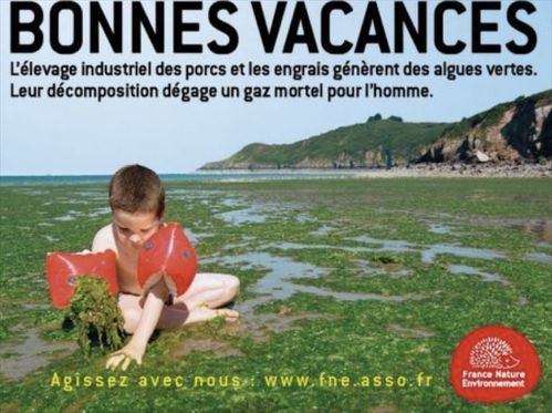 affiche agriculture algues