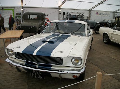 shelby gt 350