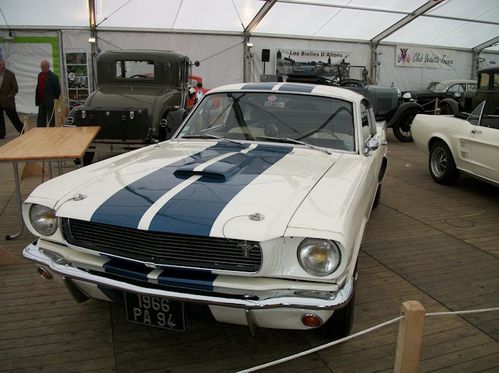 shelby gt 350