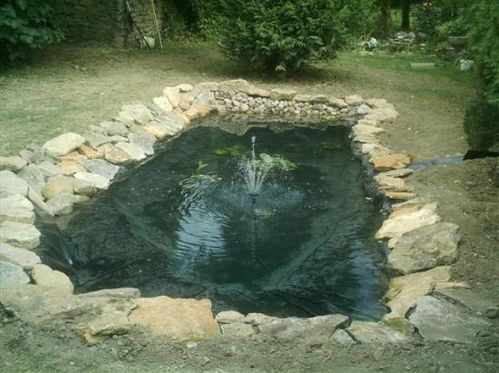 bassin.jpg