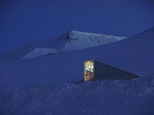 svalbard_global_seed_vault_06.jpg