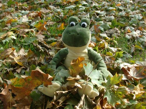 gribouille-automne.jpg
