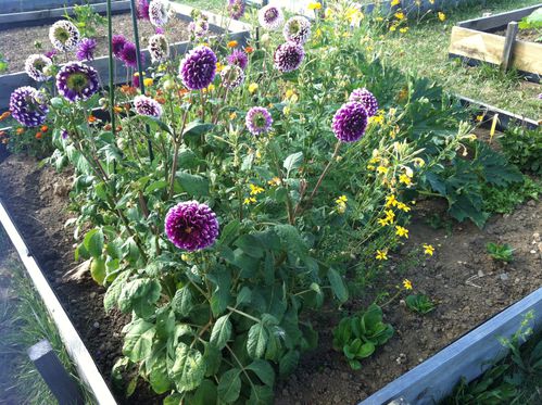photo-copie-36.JPG