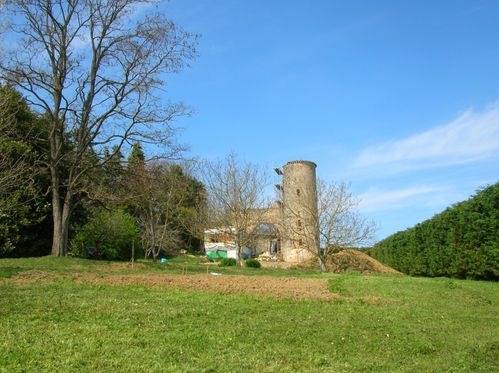 DSCN5500-copie-1