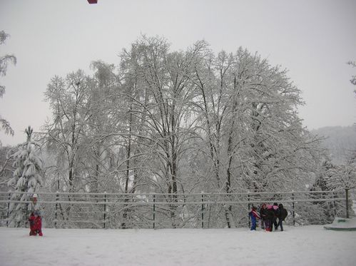 Froid-et-neige-006.JPG