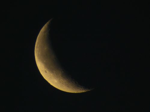 lasta-lunarko.jpg