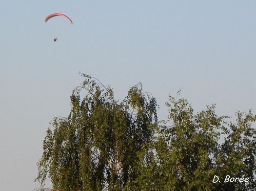 Paramoteur7