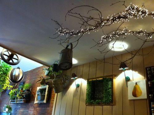 photo(12)