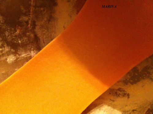 TAGLIATELLES ROSES (2)