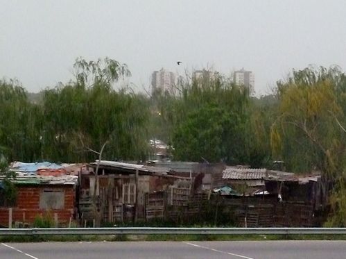 P1030366