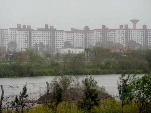 P1030383