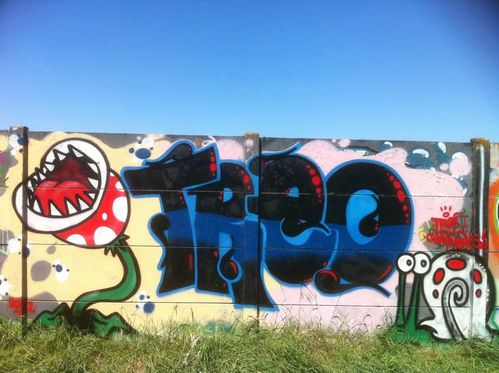 treo55-graffiti-paris-banlieue-7.jpg