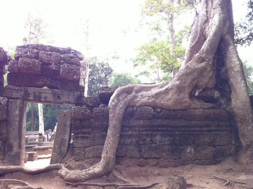 Angkor 0737
