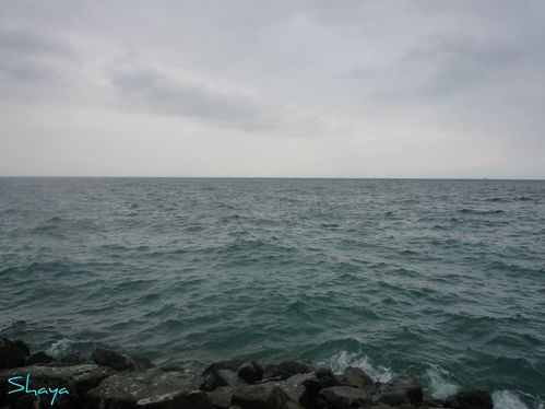 Lac-Leman-001_signee.jpg
