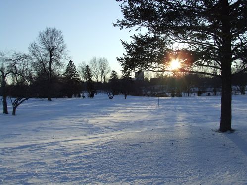 DSCF4421.JPG