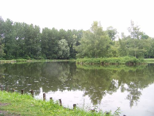 l'île aux canards à Chars