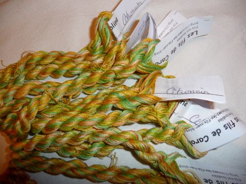 2010-01bisCitronnier