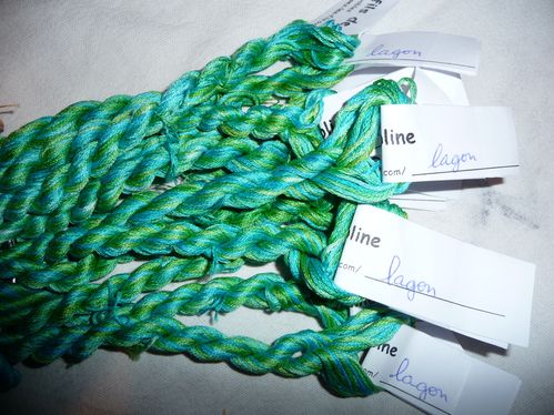 2010-01bisLagon