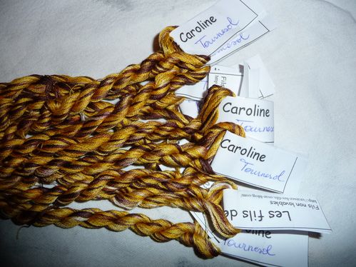 2010-01bisTournesol