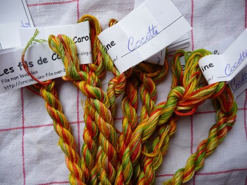 2010-03cocotte